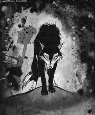 1126211217_folderwolf.jpg