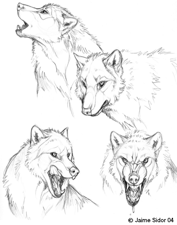 loupsketches.gif